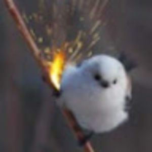 Meet your Posher, Ceara